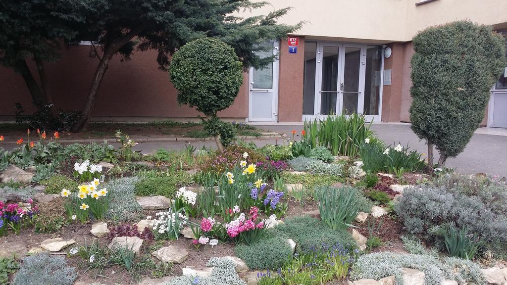 Veles Appartement *